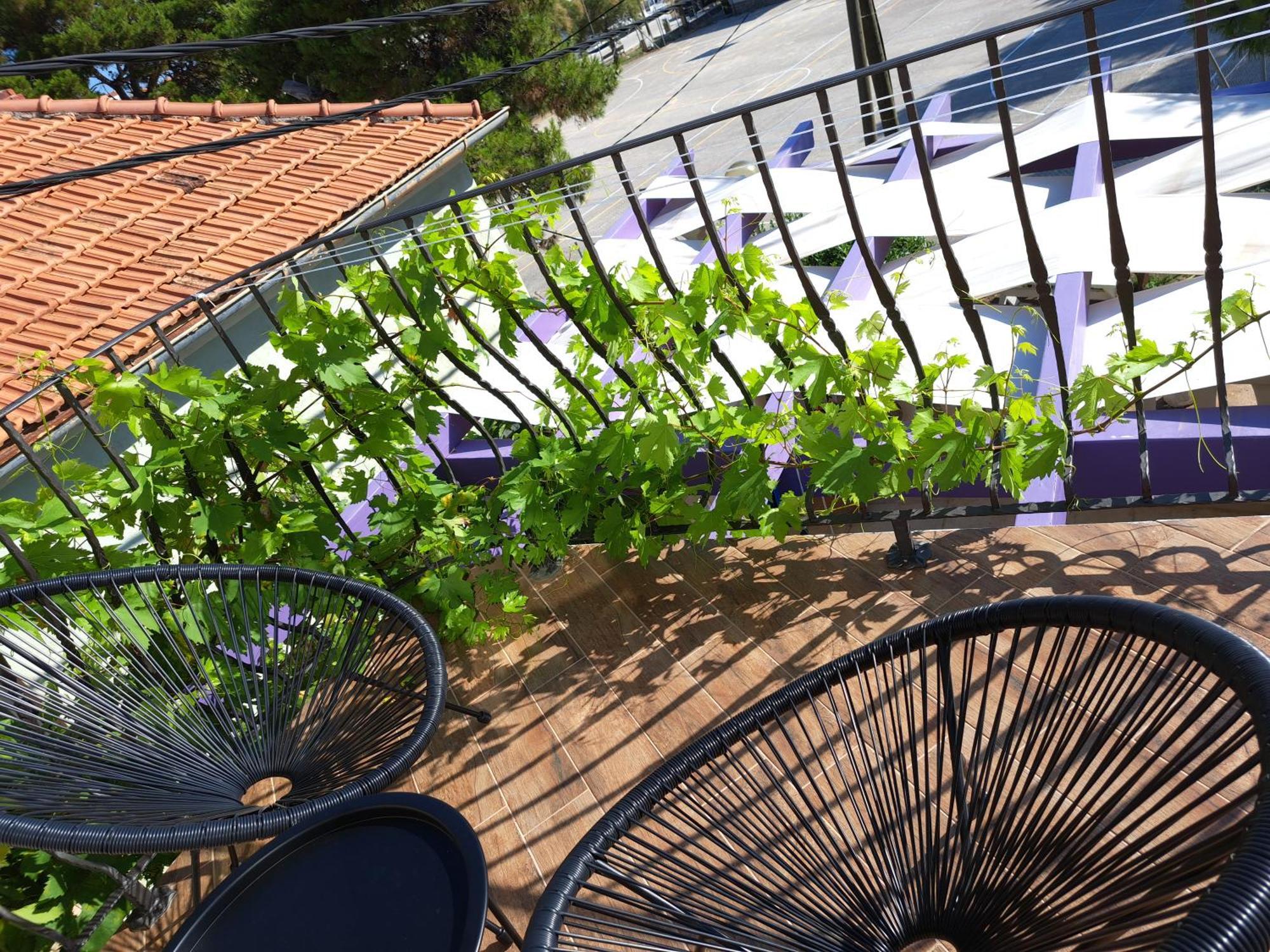 Apartamento Jardin Kapetanova Kuca Veli Iž Exterior foto