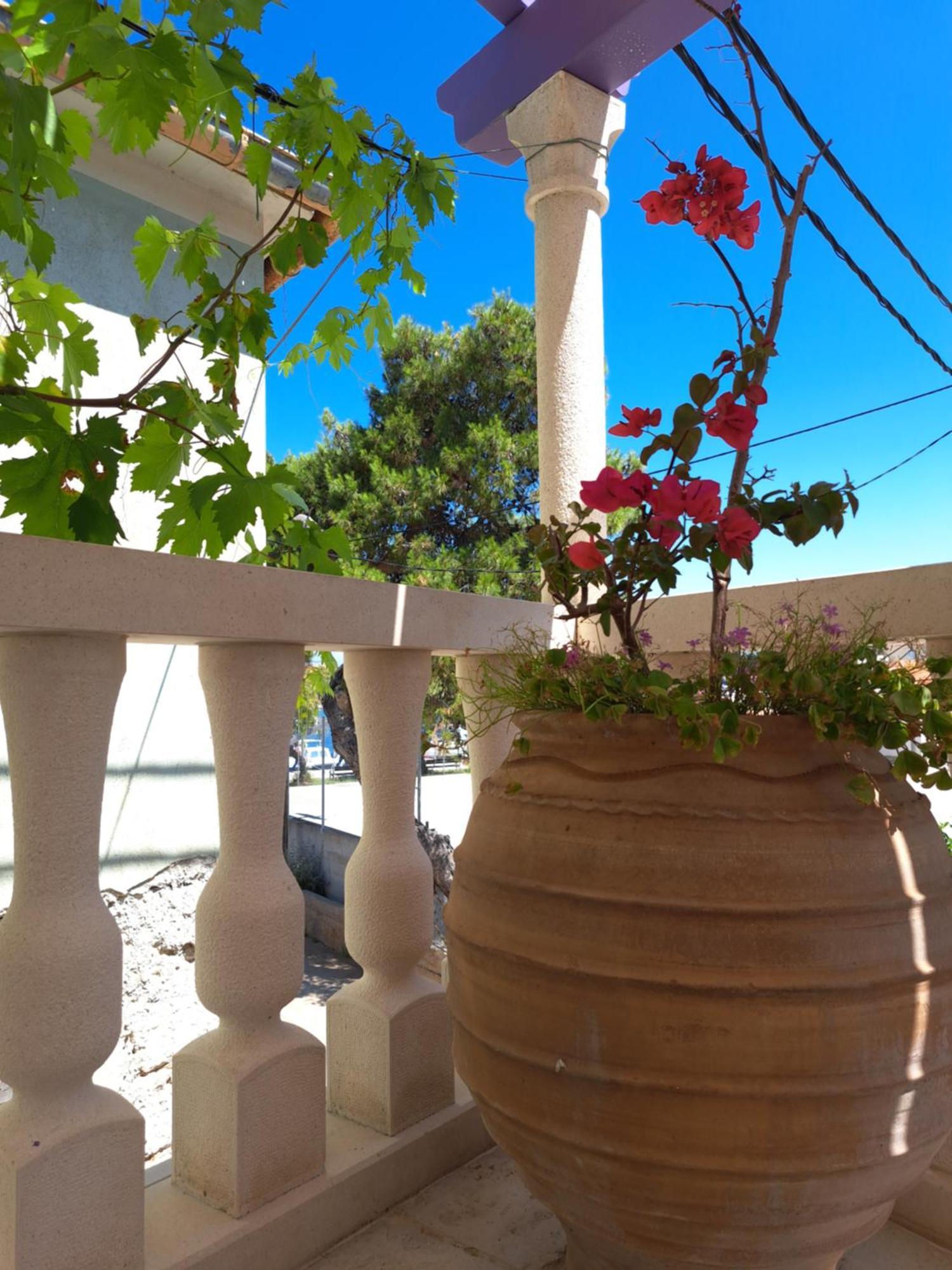 Apartamento Jardin Kapetanova Kuca Veli Iž Exterior foto